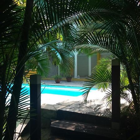 Chambre D'Hote Et Loft Dans Maison De Charme Piscine A Debordement La Villa Gialla ショルシェール エクステリア 写真