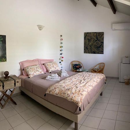 Chambre D'Hote Et Loft Dans Maison De Charme Piscine A Debordement La Villa Gialla ショルシェール エクステリア 写真