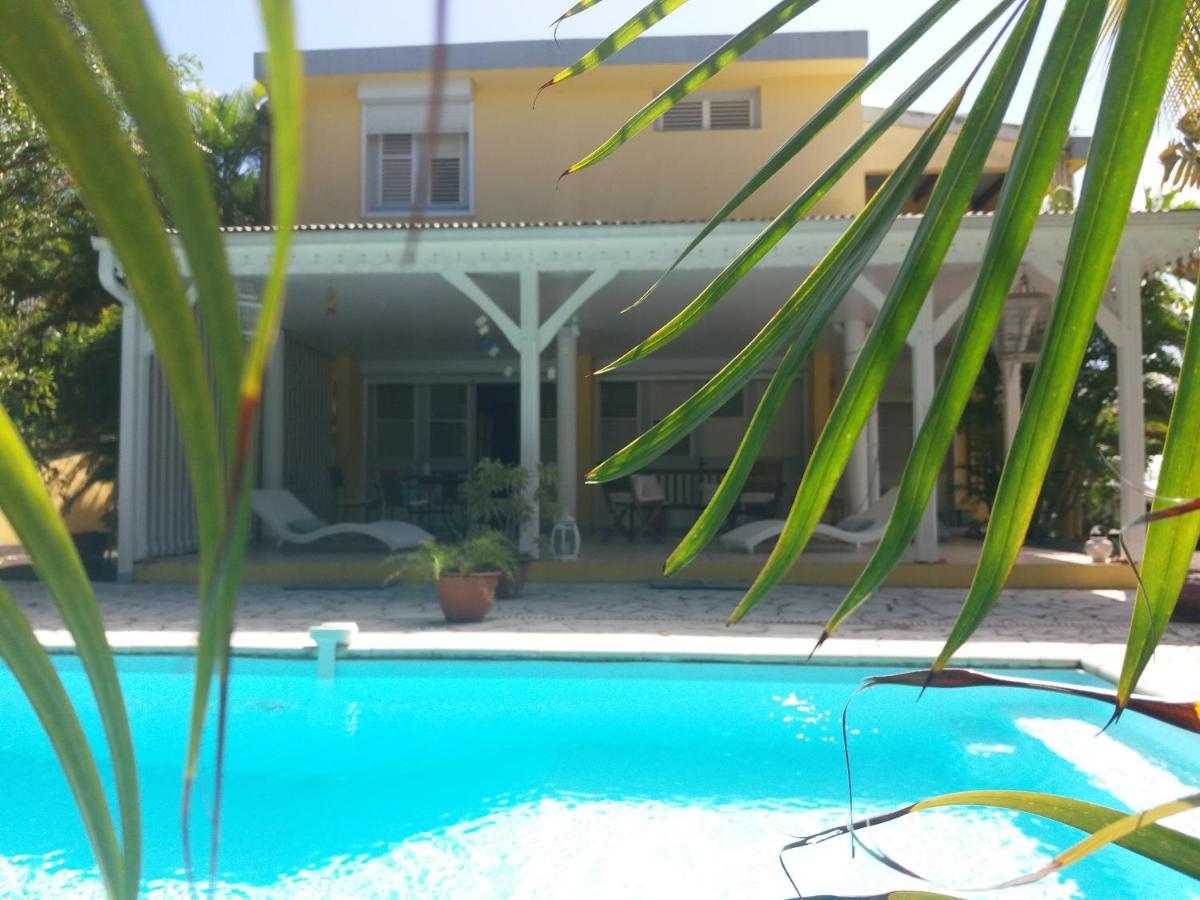 Chambre D'Hote Et Loft Dans Maison De Charme Piscine A Debordement La Villa Gialla ショルシェール エクステリア 写真