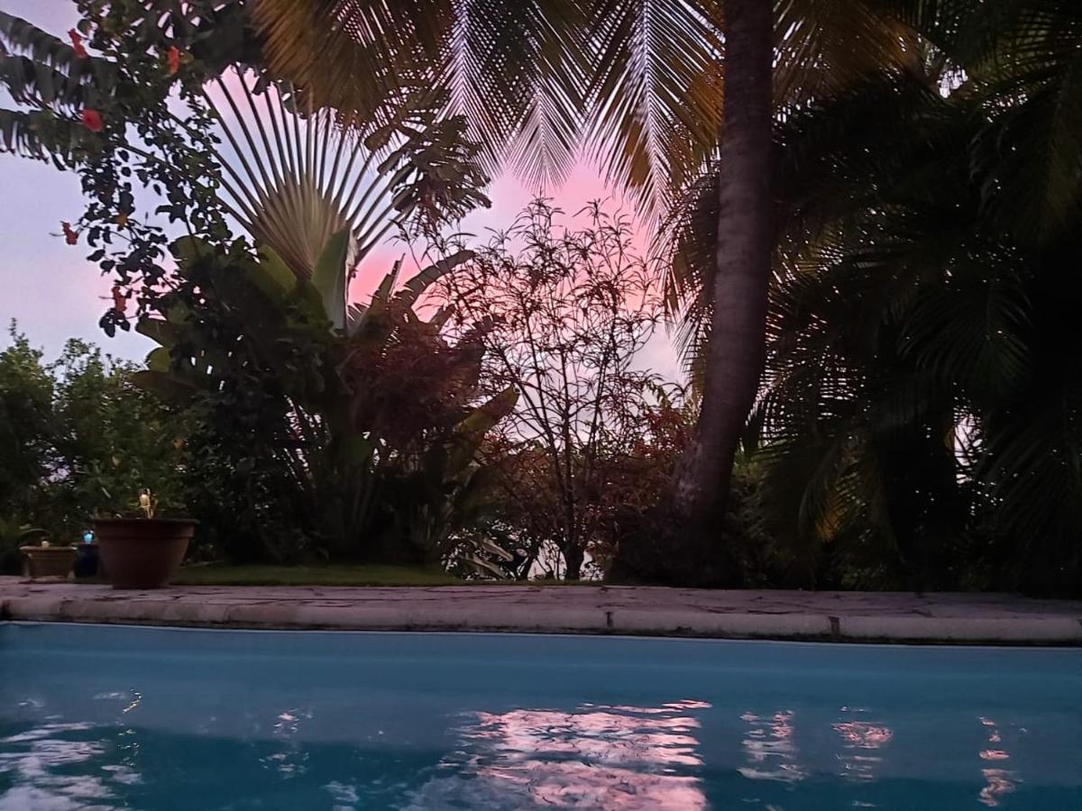 Chambre D'Hote Et Loft Dans Maison De Charme Piscine A Debordement La Villa Gialla ショルシェール エクステリア 写真