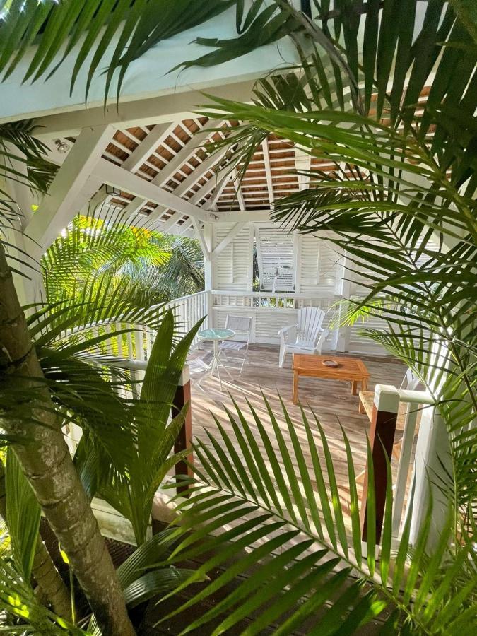 Chambre D'Hote Et Loft Dans Maison De Charme Piscine A Debordement La Villa Gialla ショルシェール エクステリア 写真