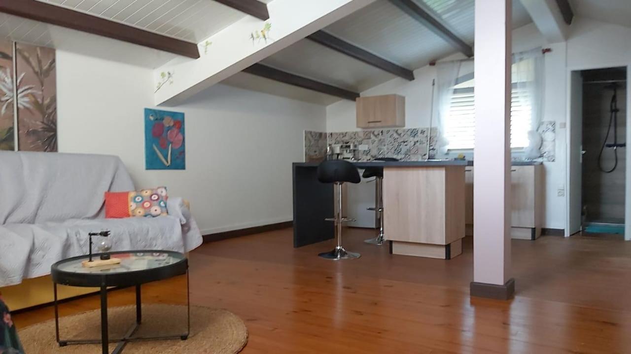 Chambre D'Hote Et Loft Dans Maison De Charme Piscine A Debordement La Villa Gialla ショルシェール エクステリア 写真